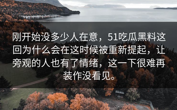 刚开始没多少人在意，51吃瓜黑料这回为什么会在这时候被重新提起，让旁观的人也有了情绪，这一下很难再装作没看见。  第1张