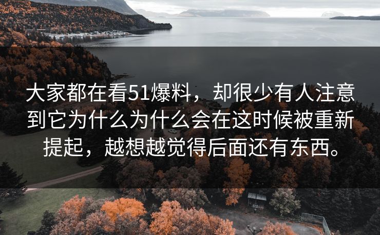 大家都在看51爆料，却很少有人注意到它为什么为什么会在这时候被重新提起，越想越觉得后面还有东西。  第1张