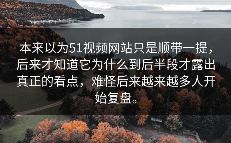 本来以为51视频网站只是顺带一提，后来才知道它为什么到后半段才露出真正的看点，难怪后来越来越多人开始复盘。  第1张